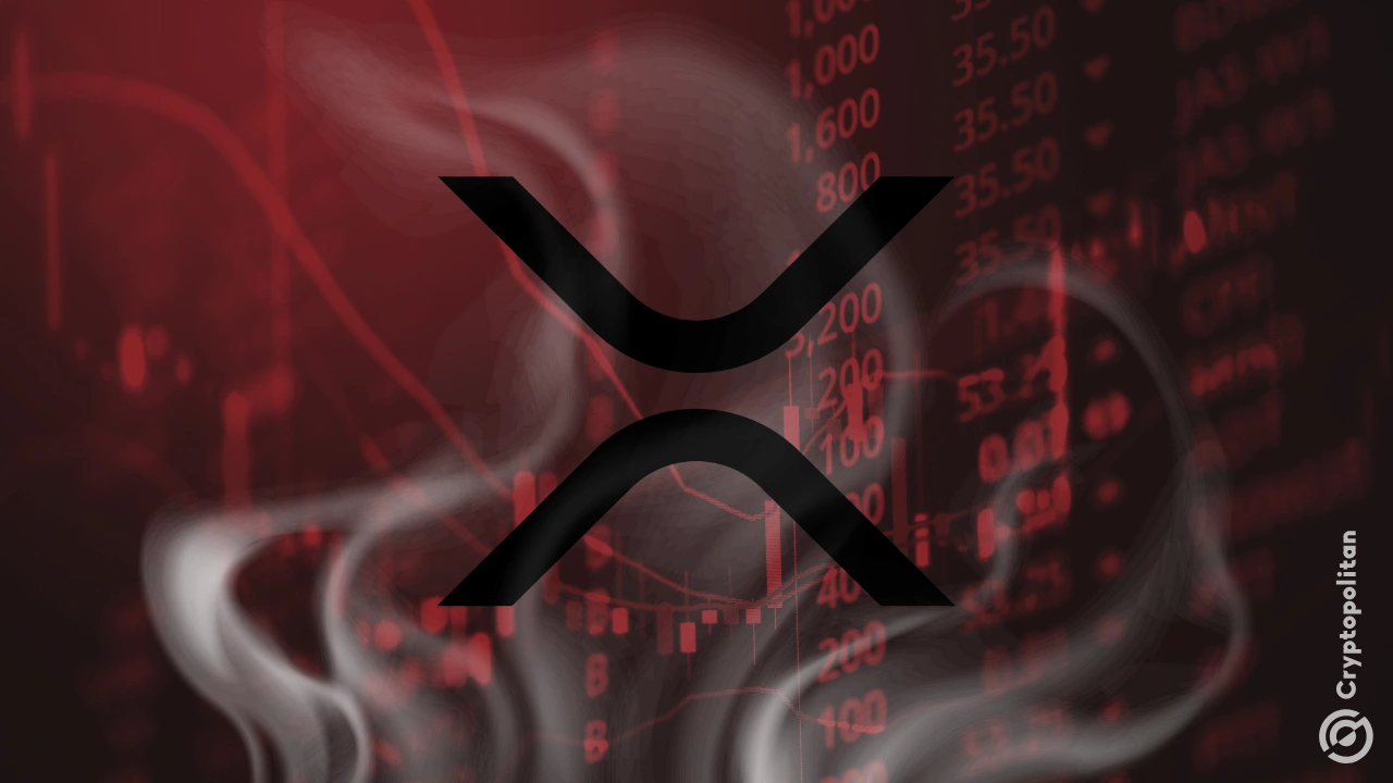 XRP突发安全漏洞，亏损多达28.94万美元